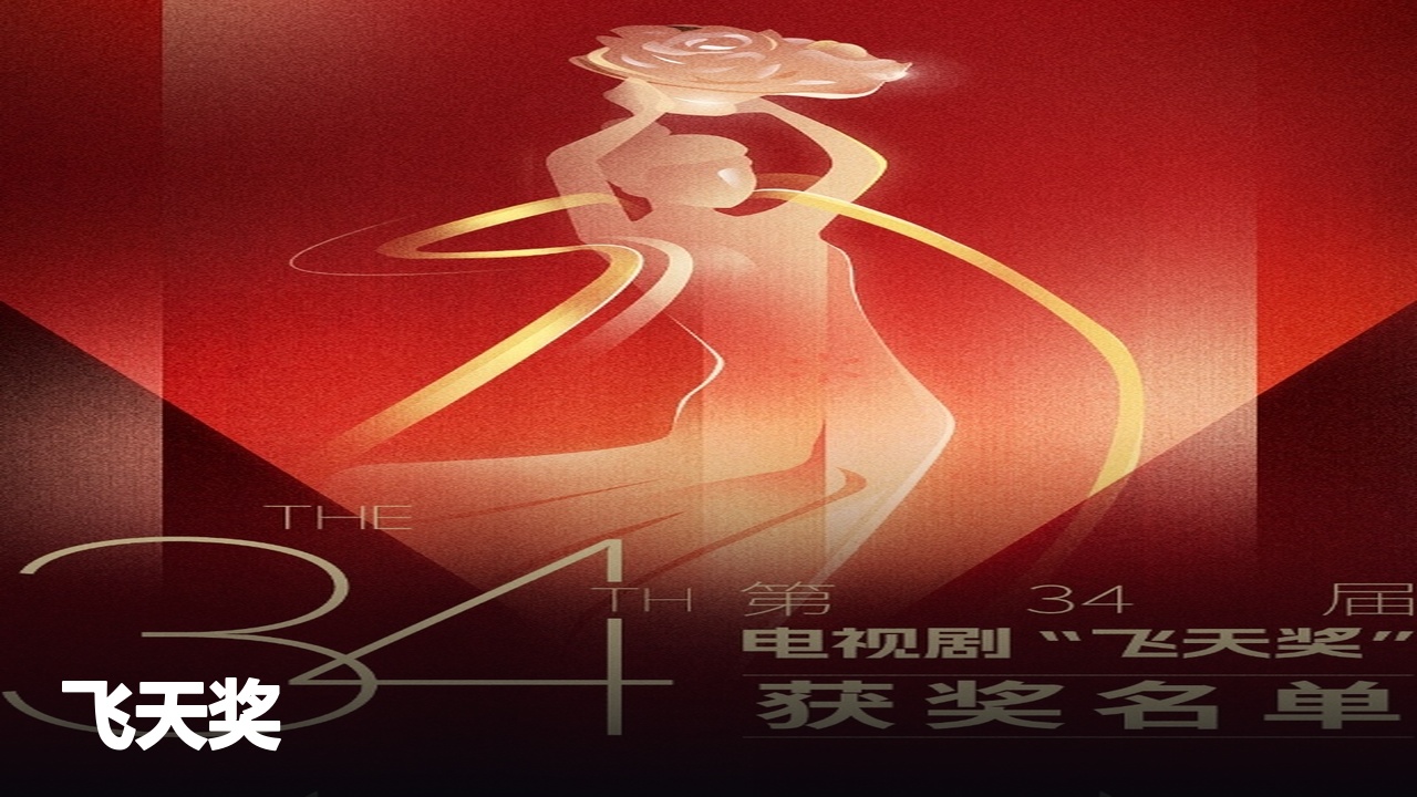 飞天奖获奖剧集