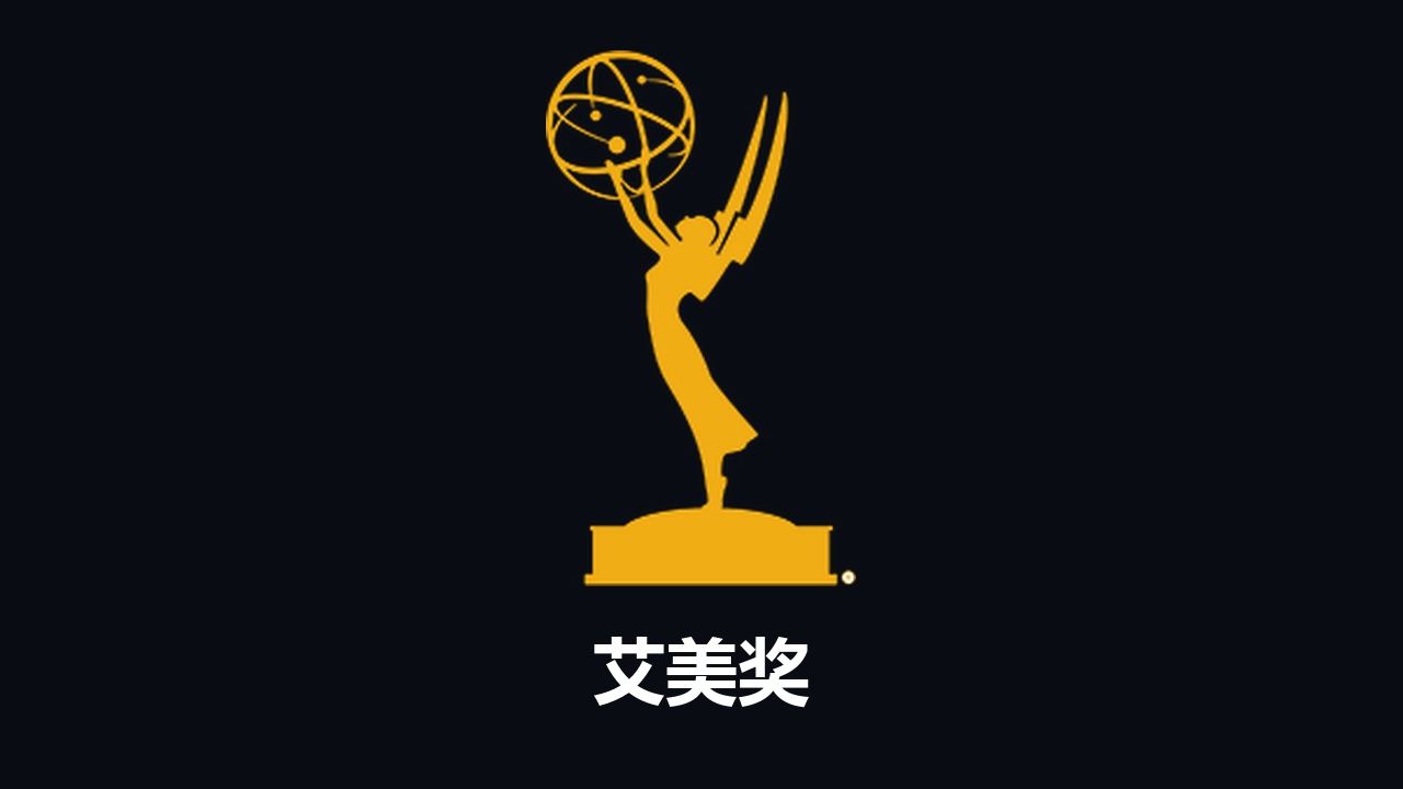 艾美奖获奖剧集